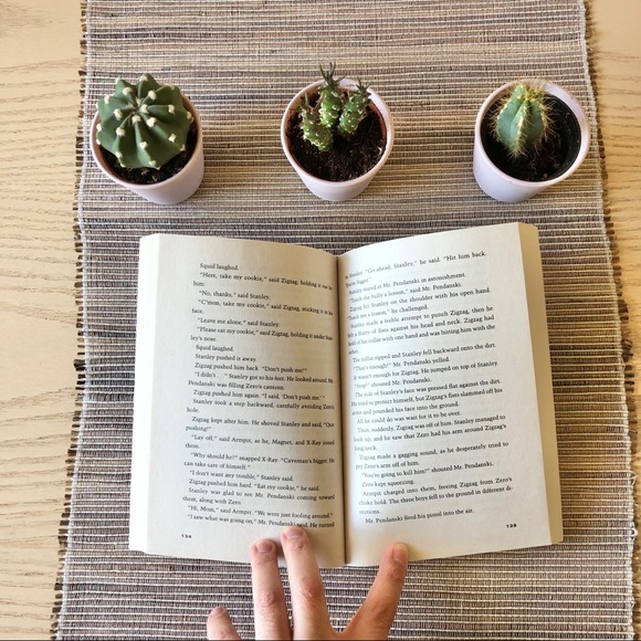 Holes By Louis Sachar - Picture 7 of 7